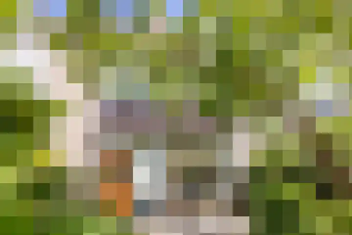 Vinkeslag 4 Boskoop thumbnail 33