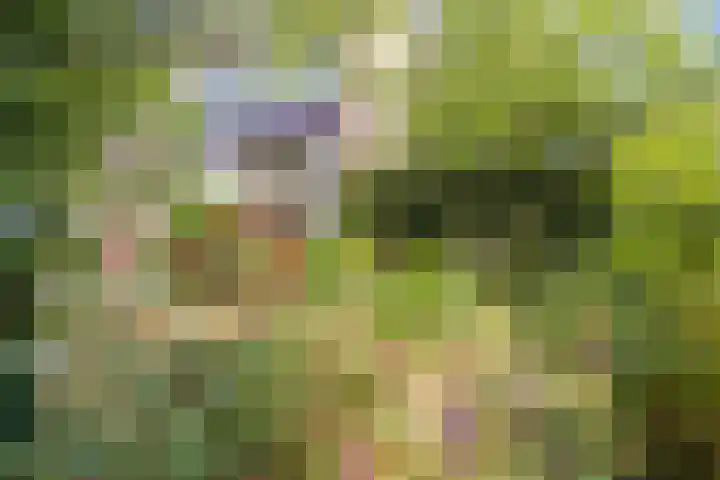 Vinkeslag 4 Boskoop thumbnail 35