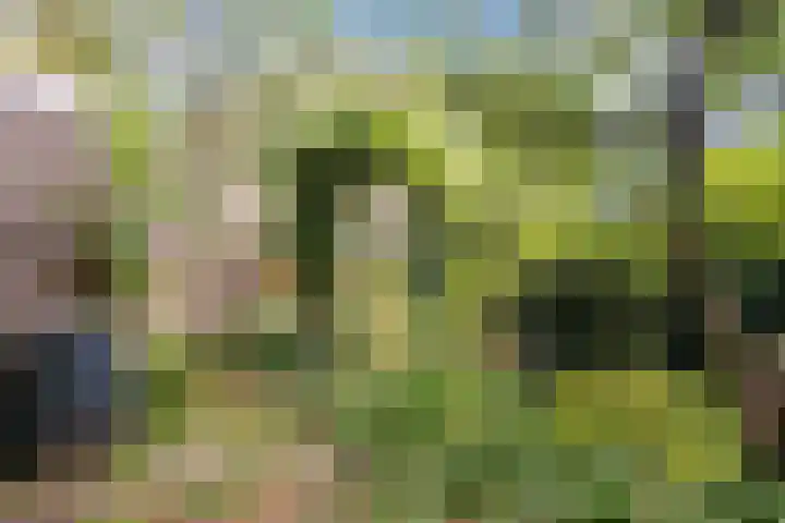 Vinkeslag 4 Boskoop thumbnail 36
