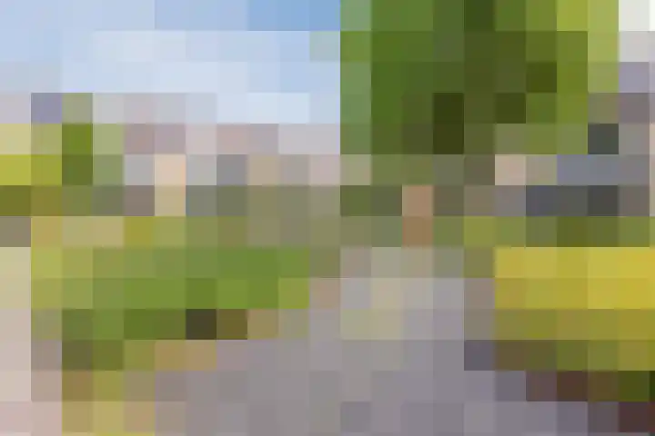 Vinkeslag 4 Boskoop thumbnail 44