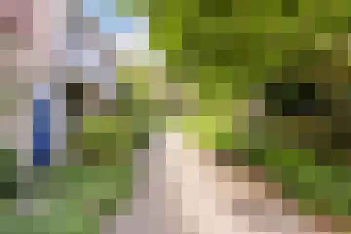 Vinkeslag 4 Boskoop thumbnail 45