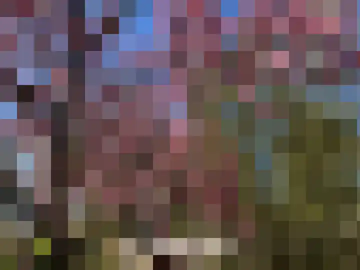 Vinkeslag 4 Boskoop thumbnail 47