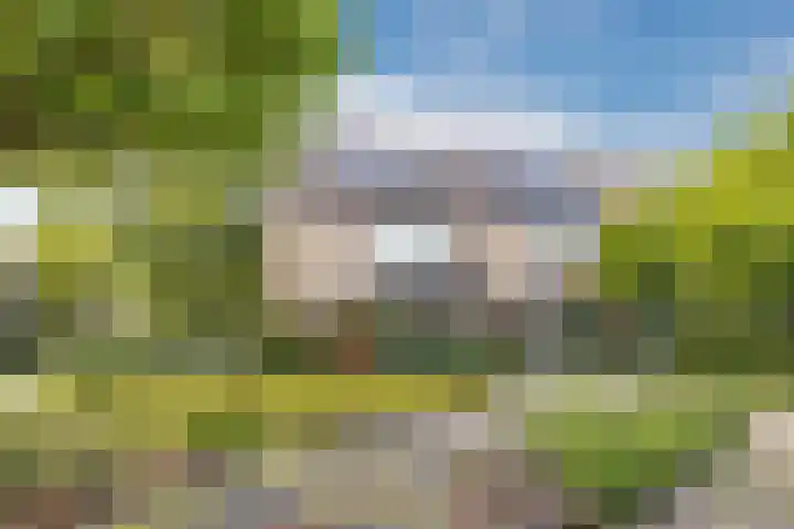 Vinkeslag 4 Boskoop thumbnail 52