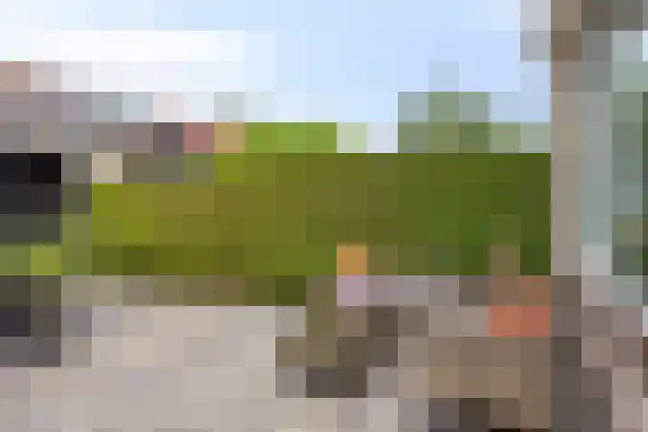 Vinkeveldpoldersingel 25 Gouda thumbnail 13