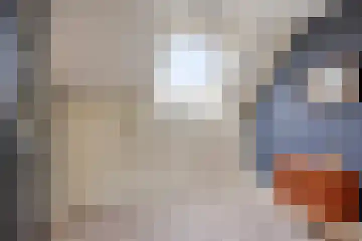 Vinkeveldpoldersingel 25 Gouda thumbnail 31