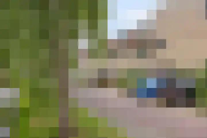 Vinkeveldpoldersingel 25 Gouda thumbnail 34