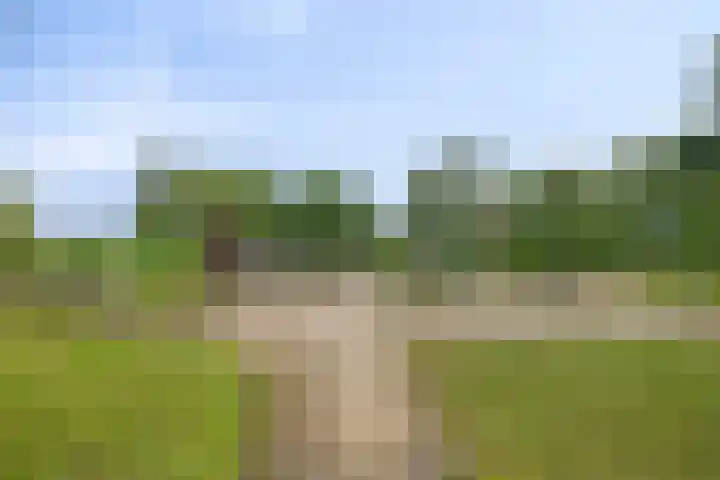 Vinkeveldpoldersingel 25 Gouda thumbnail 37
