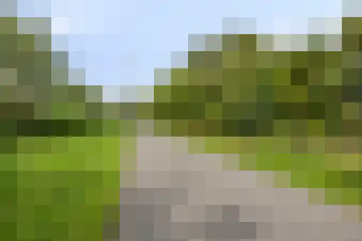 Vinkeveldpoldersingel 25 Gouda thumbnail 38