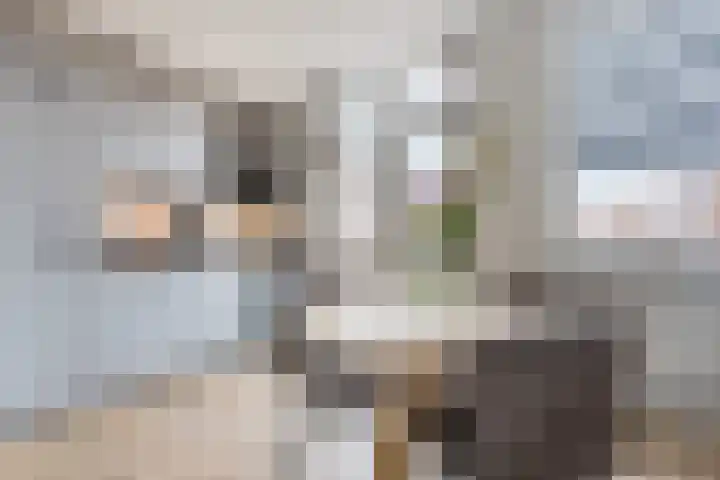 Vinkeweg 8 Katwijk thumbnail 16