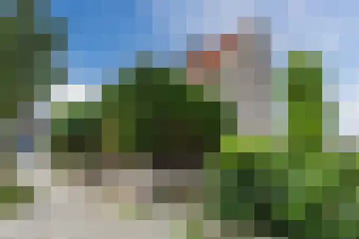 Vinkeweg 8 Katwijk thumbnail 34
