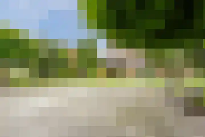 Vinkeweg 8 Katwijk thumbnail 35