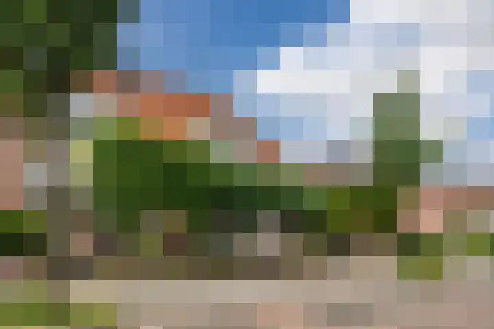 Vinkeweg 8 Katwijk thumbnail 6