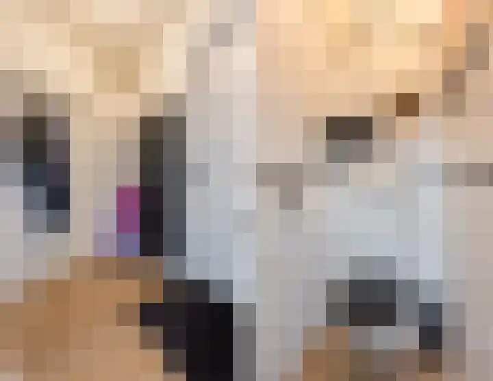 Vinkeweg 8 Katwijk thumbnail 8