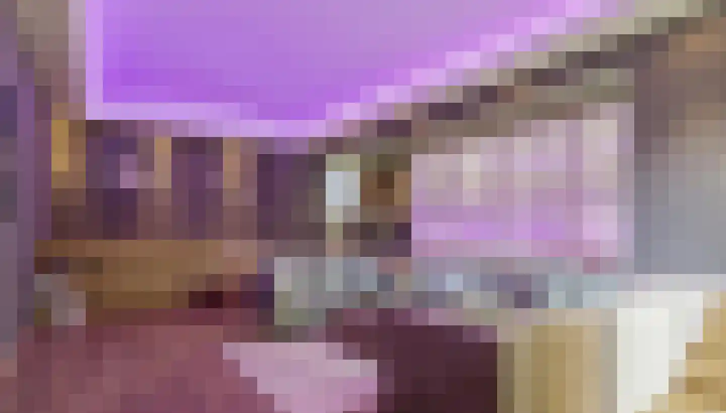 Vinklaan 10 Riethoven thumbnail 21