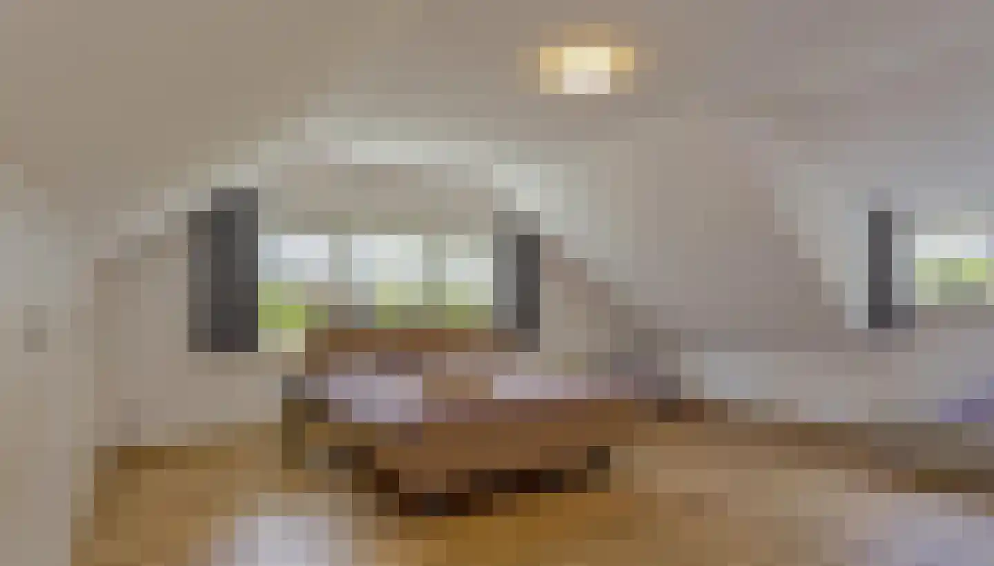 Vinklaan 10 Riethoven thumbnail 30