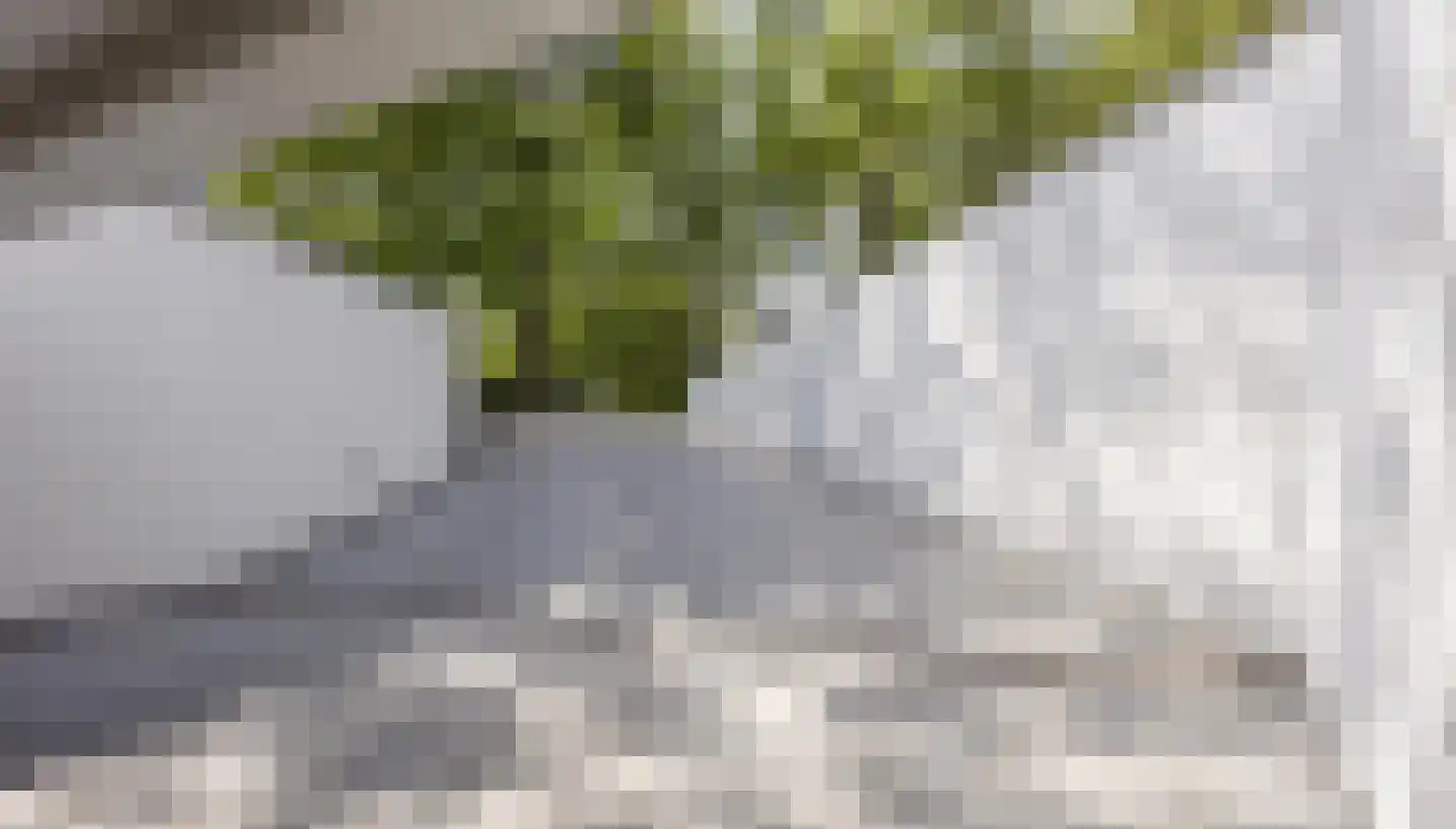 Vinklaan 10 Riethoven thumbnail 45