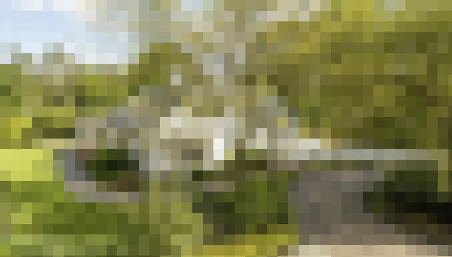 Vinklaan 10 Riethoven thumbnail 48