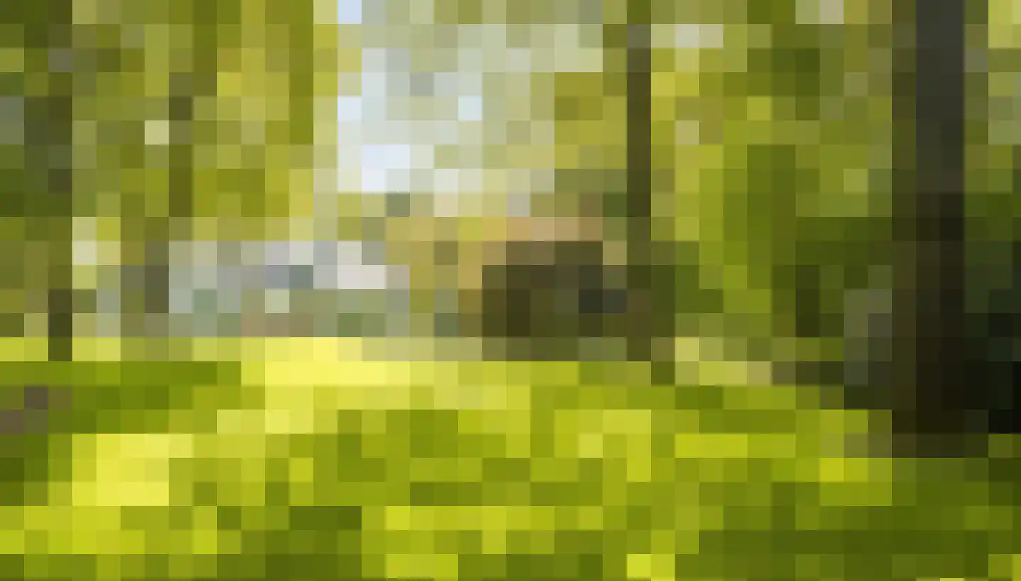 Vinklaan 10 Riethoven thumbnail 49