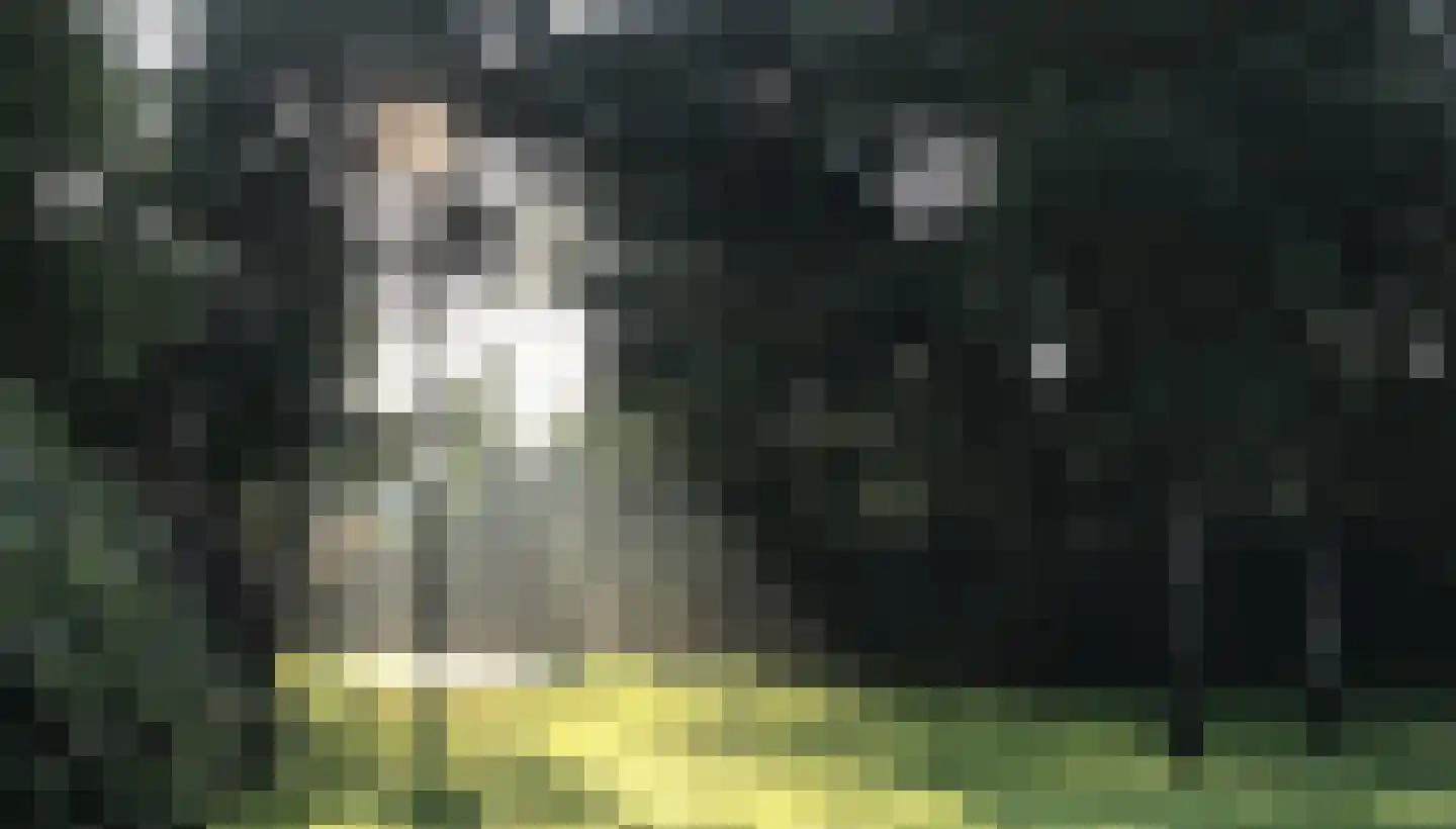 Vinklaan 10 Riethoven thumbnail 50