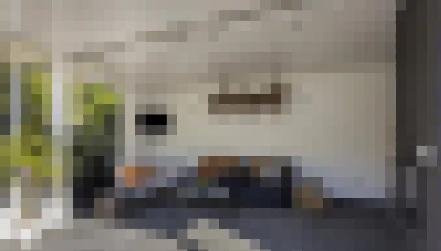 Vinklaan 10 Riethoven thumbnail 53