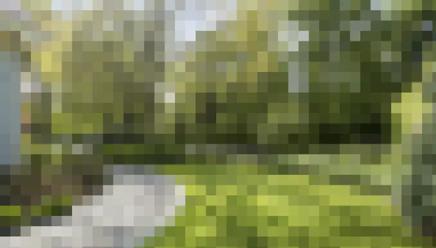 Vinklaan 10 Riethoven thumbnail 56