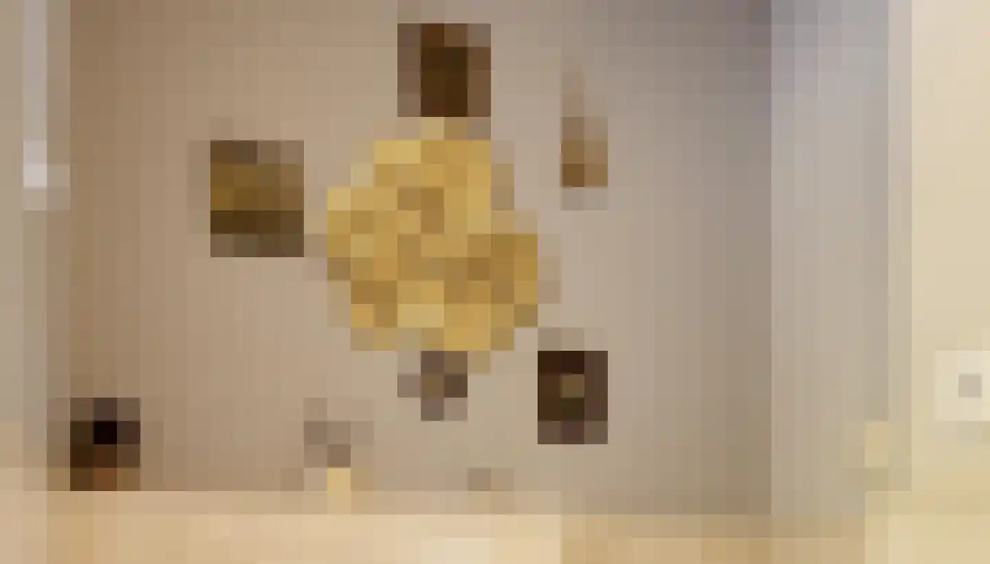 Vinklaan 10 Riethoven thumbnail 7