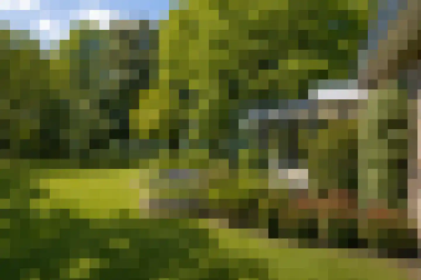 Vinklaan 12 Riethoven thumbnail 4