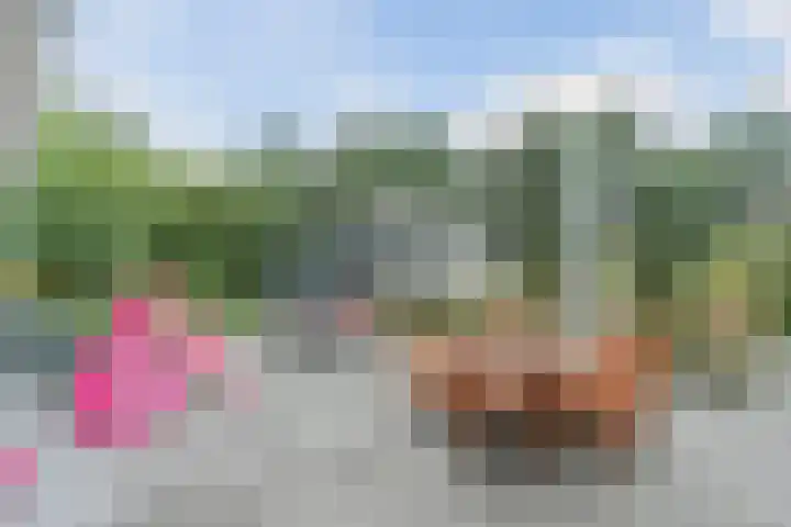 Vinklaan 29 Riethoven thumbnail 36