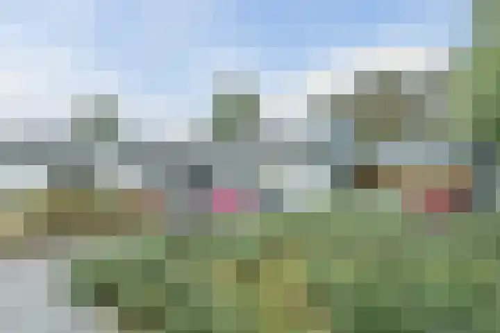 Vinklaan 29 Riethoven thumbnail 39