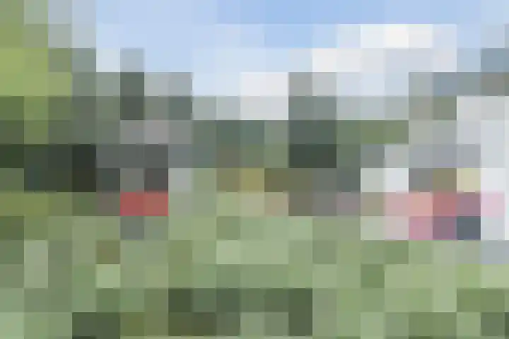 Vinklaan 29 Riethoven thumbnail 42