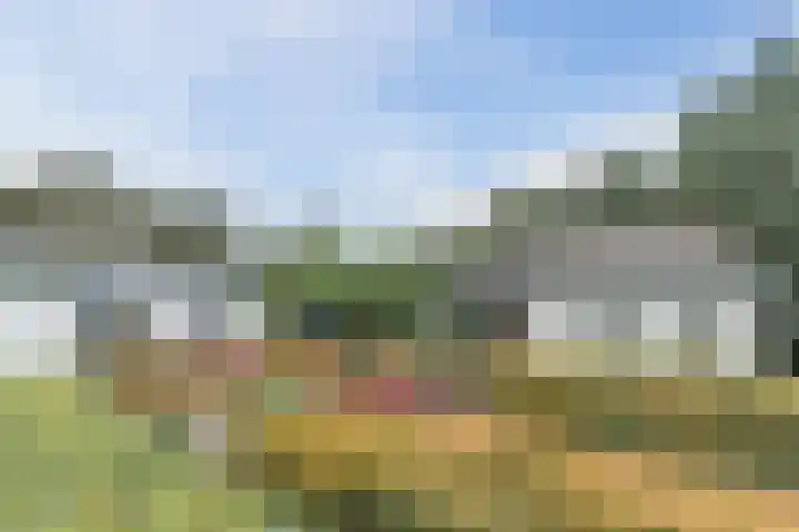 Vinklaan 29 Riethoven thumbnail 43
