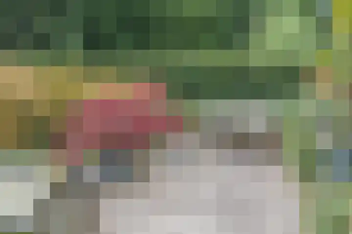 Vinklaan 29 Riethoven thumbnail 45