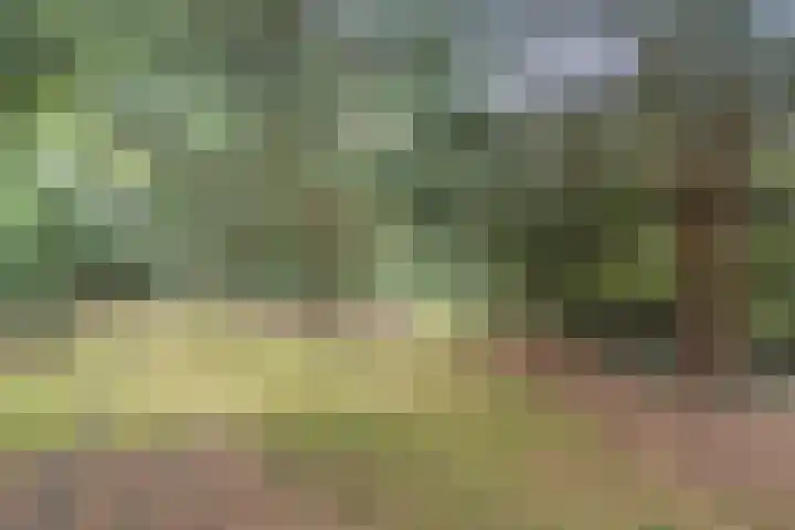 Vinklaan 29 Riethoven thumbnail 47