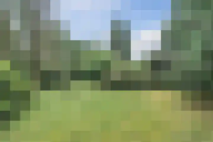 Vinklaan 29 Riethoven thumbnail 48