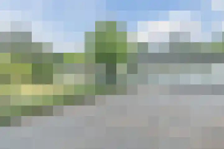 Vinklaan 29 Riethoven thumbnail 49