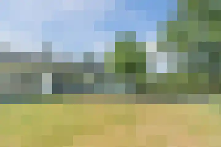 Vinklaan 29 Riethoven thumbnail 50