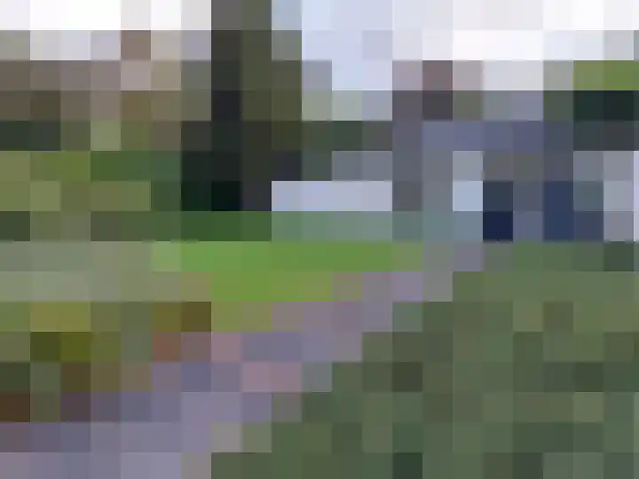 Vinklaan 29 Riethoven thumbnail 51
