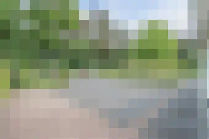 Vinklaan 29 Riethoven thumbnail 52