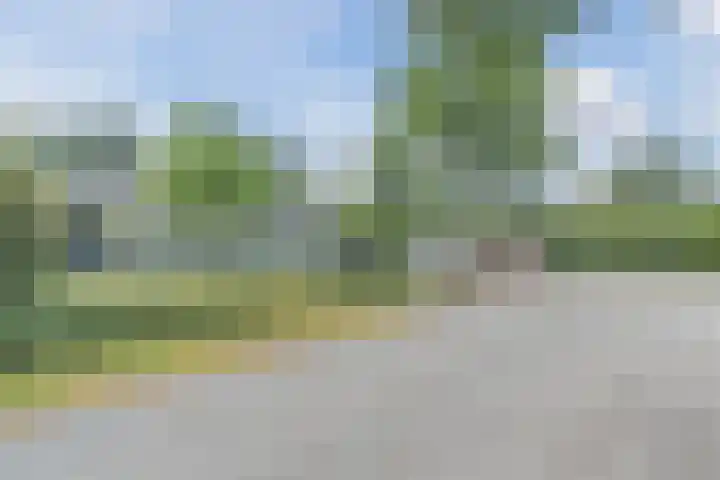 Vinklaan 29 Riethoven thumbnail 55