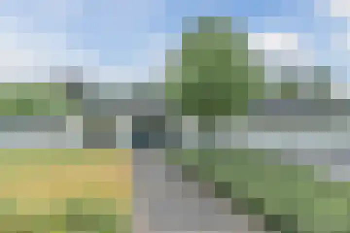 Vinklaan 29 Riethoven thumbnail 6