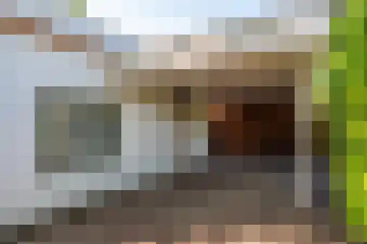 Vinklaan 3 Son en Breugel thumbnail 10