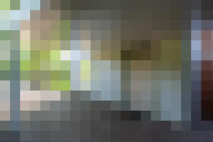 Vinklaan 3 Son en Breugel thumbnail 11