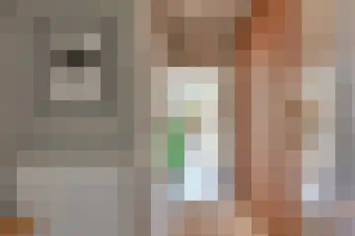 Vinklaan 3 Son en Breugel thumbnail 12