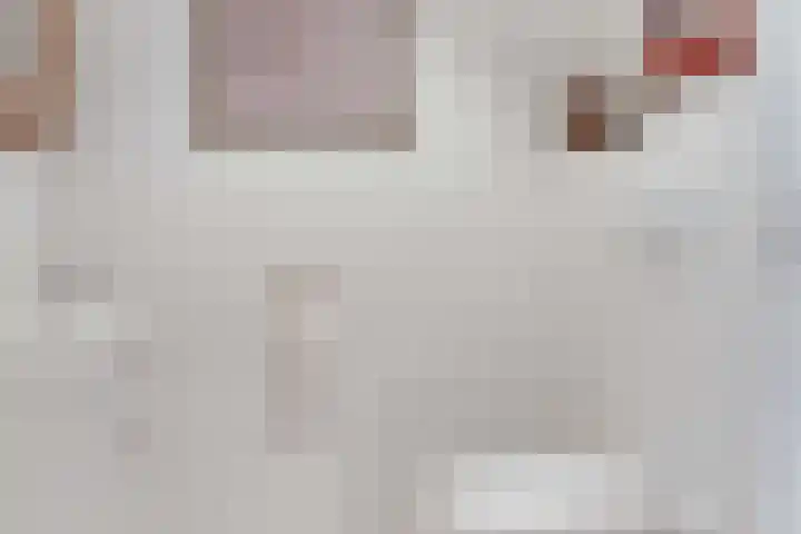 Vinklaan 3 Son en Breugel thumbnail 15