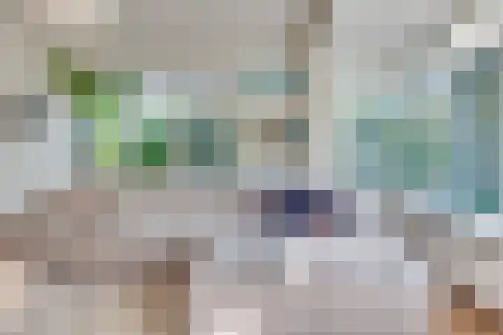 Vinklaan 3 Son en Breugel thumbnail 18