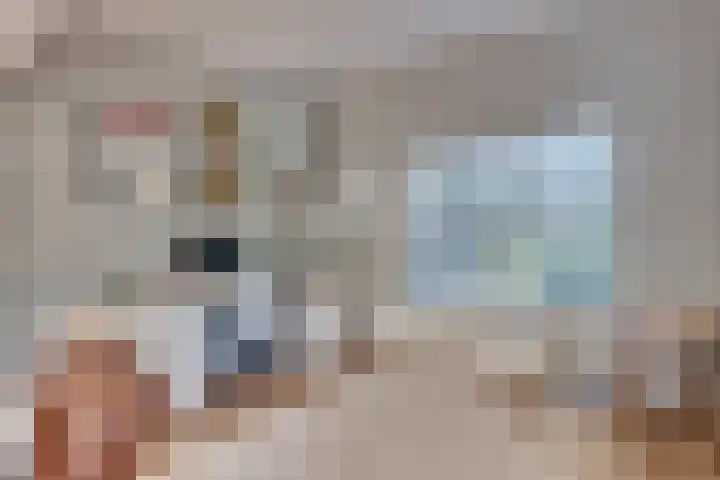 Vinklaan 3 Son en Breugel thumbnail 21