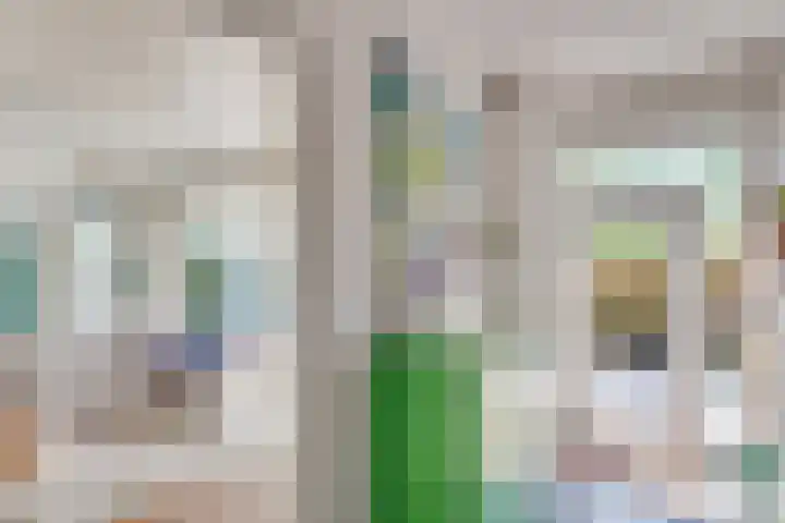 Vinklaan 3 Son en Breugel thumbnail 23