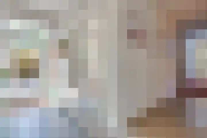 Vinklaan 3 Son en Breugel thumbnail 24