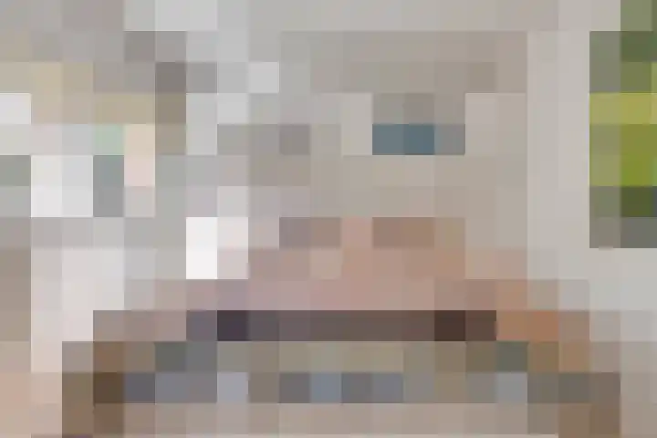 Vinklaan 3 Son en Breugel thumbnail 25
