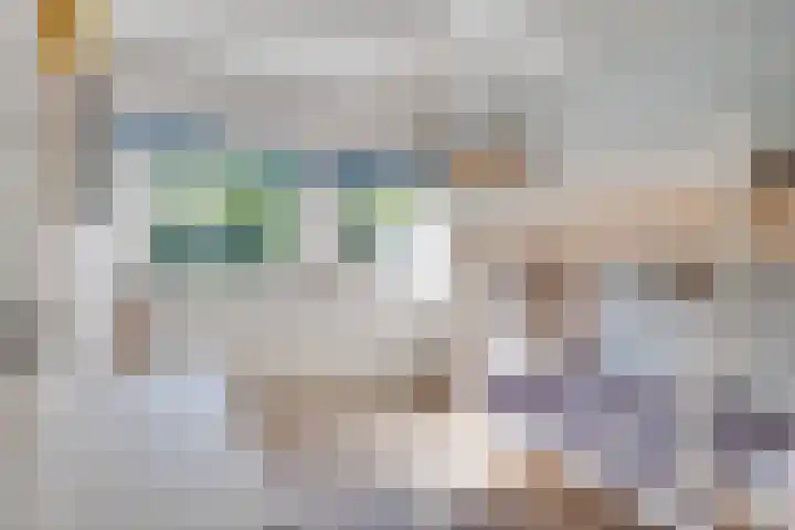 Vinklaan 3 Son en Breugel thumbnail 31